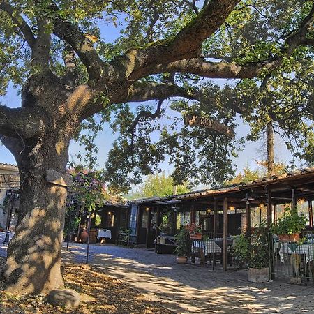 Selci  La Vecchia Quercia Bed & Breakfast エクステリア 写真
