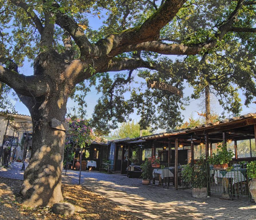 Selci  La Vecchia Quercia Bed & Breakfast エクステリア 写真